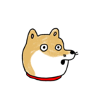 うちの犬まるちゃん（個別スタンプ：15）