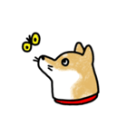 うちの犬まるちゃん（個別スタンプ：18）