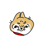 うちの犬まるちゃん（個別スタンプ：19）