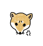 うちの犬まるちゃん（個別スタンプ：21）