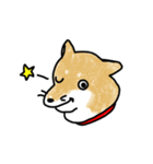 うちの犬まるちゃん（個別スタンプ：22）