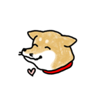 うちの犬まるちゃん（個別スタンプ：24）