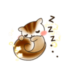 リスとハムスターのスタンプ（個別スタンプ：17）