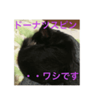 人生の3分の1は睡眠 / Life is dreaming.（個別スタンプ：3）