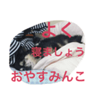 人生の3分の1は睡眠 / Life is dreaming.（個別スタンプ：5）