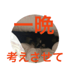 人生の3分の1は睡眠 / Life is dreaming.（個別スタンプ：7）