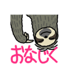 儒艮堂ミユビナマケモノスタンプ（個別スタンプ：12）