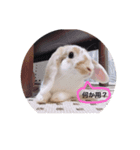 エルフとプリン（個別スタンプ：5）