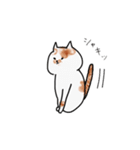 今日のぽっちゃん（個別スタンプ：13）