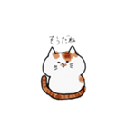 今日のぽっちゃん（個別スタンプ：17）