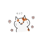 今日のぽっちゃん（個別スタンプ：20）