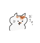 今日のぽっちゃん（個別スタンプ：24）
