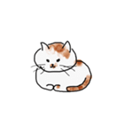 今日のぽっちゃん（個別スタンプ：28）