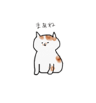 今日のぽっちゃん（個別スタンプ：30）