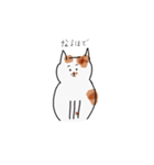 今日のぽっちゃん（個別スタンプ：31）