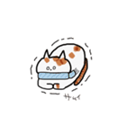 今日のぽっちゃん（個別スタンプ：37）