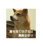 しょっぱい顔の犬（個別スタンプ：3）