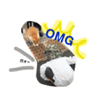 とりあえず。2   komama（個別スタンプ：2）