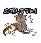 きらきら猫たん（個別スタンプ：37）