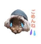 前川くうスタンプ（個別スタンプ：3）