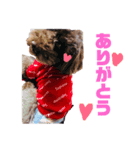 前川くうスタンプ（個別スタンプ：5）