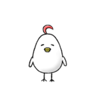 毎日とりたまさん（個別スタンプ：1）