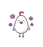 毎日とりたまさん（個別スタンプ：8）