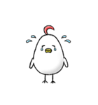 毎日とりたまさん（個別スタンプ：10）