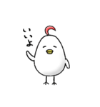 毎日とりたまさん（個別スタンプ：13）