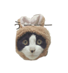 すだちゃんすたんぷその1（個別スタンプ：2）