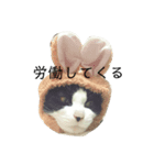 すだちゃんすたんぷその1（個別スタンプ：5）