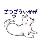 白犬たち2～誘い誘われ編～（個別スタンプ：11）