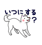 白犬たち2～誘い誘われ編～（個別スタンプ：21）