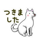 白犬たち2～誘い誘われ編～（個別スタンプ：29）