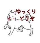 白犬たち2～誘い誘われ編～（個別スタンプ：30）