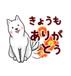 白犬たち2～誘い誘われ編～（個別スタンプ：33）