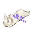 イヴだよ！（個別スタンプ：3）