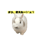 イヴだよ！（個別スタンプ：4）