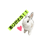 イヴだよ！（個別スタンプ：5）