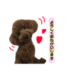 てっちゃん すたんぷ（個別スタンプ：1）