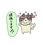 令和元年、雑種猫ふみまる（個別スタンプ：3）