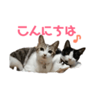 I love レンナナ＆ムーロディー（個別スタンプ：1）