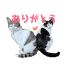I love レンナナ＆ムーロディー（個別スタンプ：3）