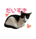 I love レンナナ＆ムーロディー（個別スタンプ：7）