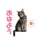 I love レンナナ＆ムーロディー（個別スタンプ：8）