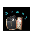 チワワのチコ（個別スタンプ：4）