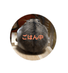 とろの日常（個別スタンプ：2）