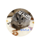 とろの日常（個別スタンプ：3）