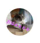 とろの日常（個別スタンプ：4）