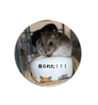 とろの日常（個別スタンプ：7）